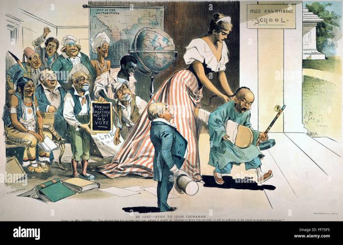 Political cartoon analysis the chinese exclusion act answers